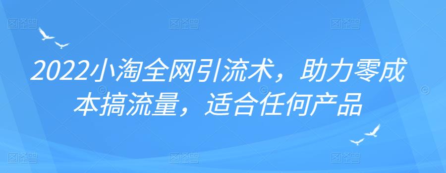 2022年小淘全网引流术，助力零成本搞流量，适合任何产品-爱省资源网