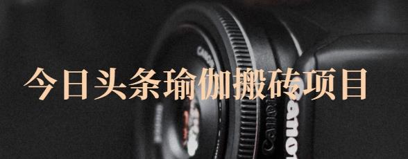 猎人社区·今日头条瑜伽搬砖项目，单号一天几十收入，可以批量操作！-爱省资源网