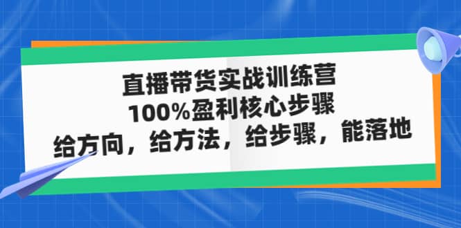 直播带货实战训练营：100%盈利核心步骤，给方向，给方法，给步骤，能落地-爱省资源网