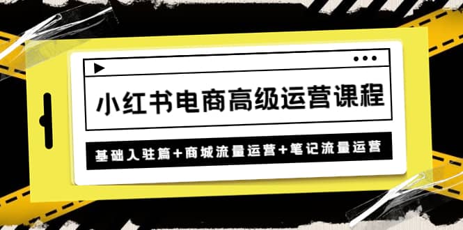 小红书电商高级运营课程：基础入驻篇+商城流量运营+笔记流量运营-爱省资源网