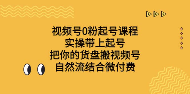 视频号0粉起号课程 实操带上起号 把你的货盘搬视频号 自然流结合微付费-爱省资源网