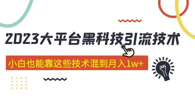 价值4899的2023大平台黑科技引流技术 29节课-爱省资源网