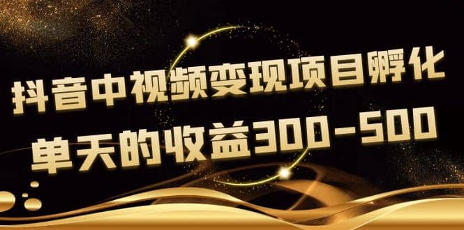 黄岛主《抖音中视频变现项目孵化》单天的收益300-500 操作简单粗暴-爱省资源网