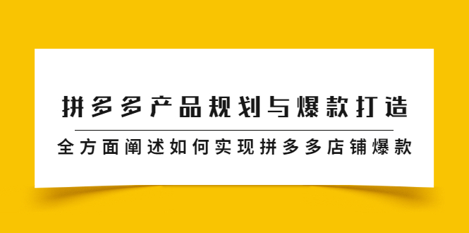 拼多多产品规划与爆款打造，全方面阐述如何实现拼多多店铺爆款-爱省资源网