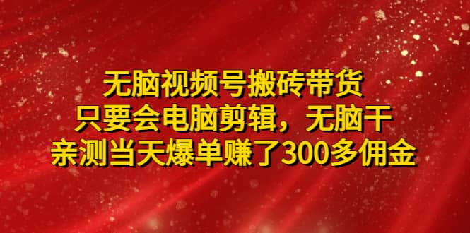 无脑视频号搬砖带货，只要会电脑剪辑，无脑干-爱省资源网