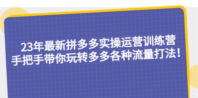 23年最新拼多多实操运营训练营：手把手带你玩转多多各种流量打法！-爱省资源网