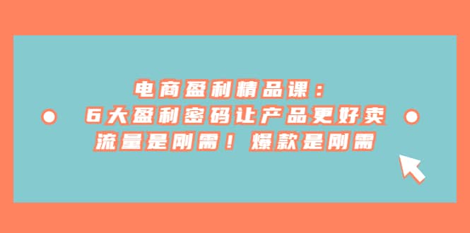电商 盈利精品课：6大盈利 密码让产品更好卖，流量是刚需！爆款是刚需-爱省资源网