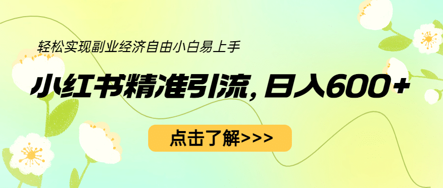 小红书精准引流，小白日入600+，轻松实现副业经济自由（教程+1153G资源）-爱省资源网