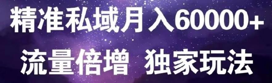 原力网赚精准私域月入60000+,流量倍增独家玩法-爱省资源网