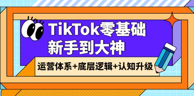 TikTok零基础新手到大神：运营体系+底层逻辑+认知升级（9节系列课）-爱省资源网