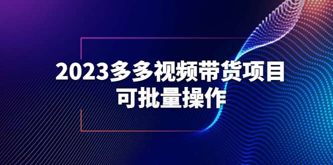 2023多多视频带货项目，可批量操作【保姆级教学】-爱省资源网