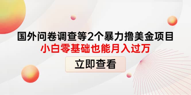 国外问卷调查等2个暴力撸美元项目，小白零基础也能月入过万-爱省资源网
