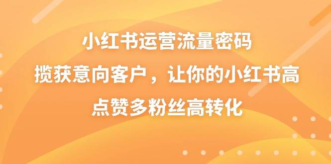 小红书运营流量密码，揽获意向客户，让你的小红书高点赞多粉丝高转化-爱省资源网