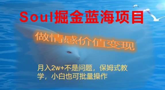 Soul掘金蓝海项目细分赛道，做情感价值变现，月入2w+不是问题-爱省资源网