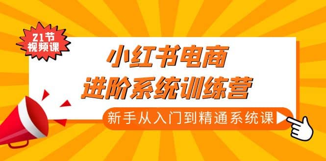 小红书电商进阶系统训练营：新手从入门到精通系统课（21节视频课）-爱省资源网