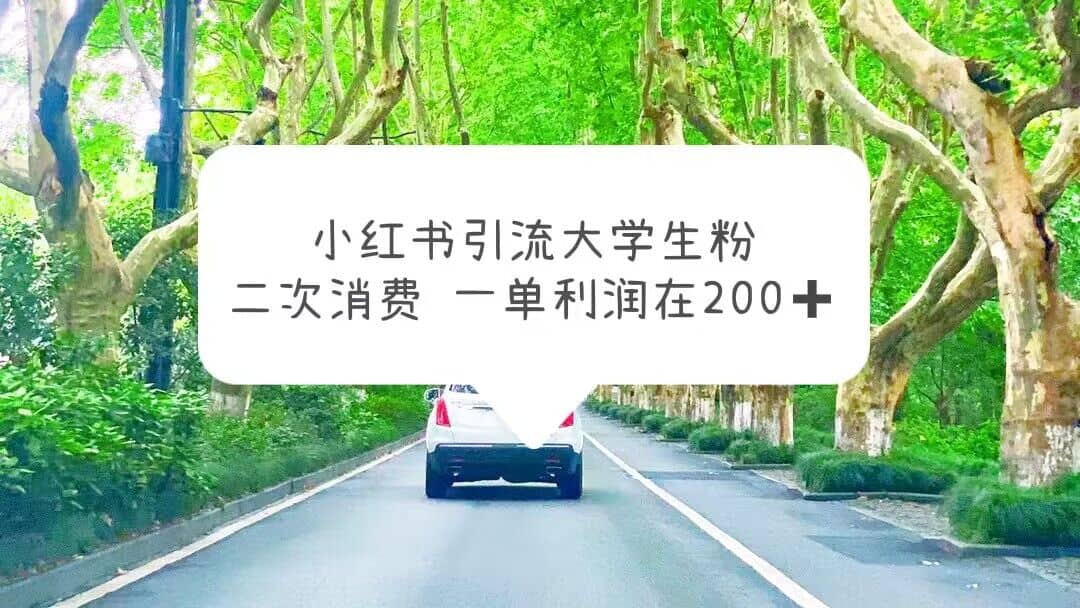 小红书引流大学生粉，变现项目，一单利润在200+（教程+资源）-爱省资源网