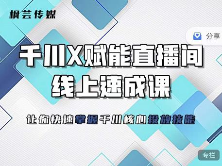 枫芸传媒-线上千川提升课，提升千川认知，提升千川投放效果-爱省资源网