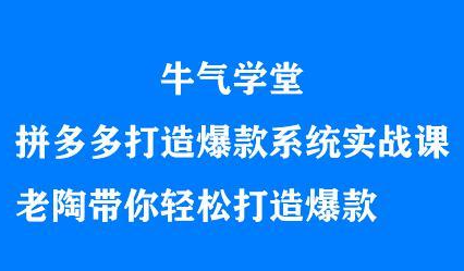 牛气学堂拼多多打造爆款系统实战课，老陶带你轻松打造爆款-爱省资源网