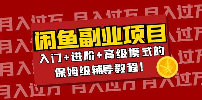 月入过万闲鱼副业项目：入门+进阶+高级模式的保姆级辅导教程-爱省资源网