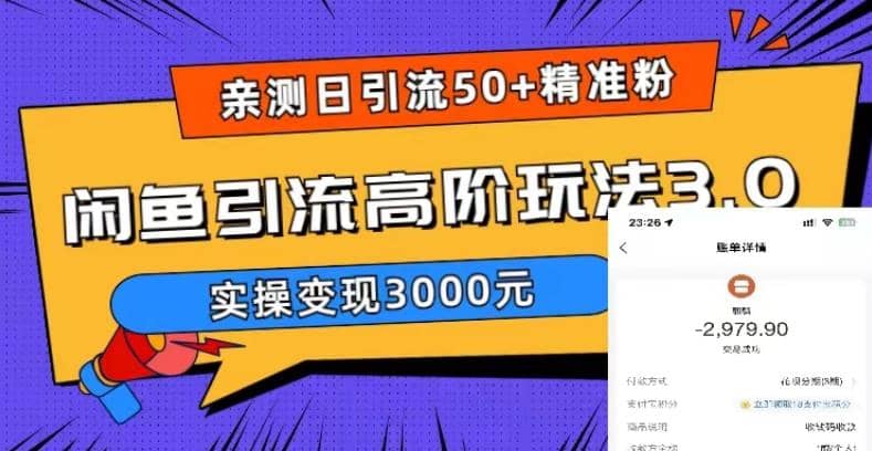 实测日引50+精准粉，闲鱼引流高阶玩法3.0，实操变现3000元-爱省资源网