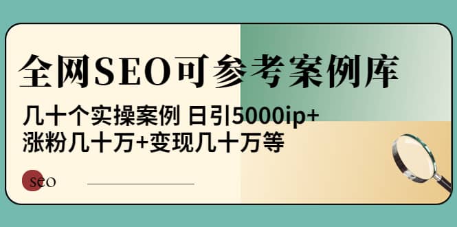 《全网SEO可参考案例库》几十个实操案例-爱省资源网