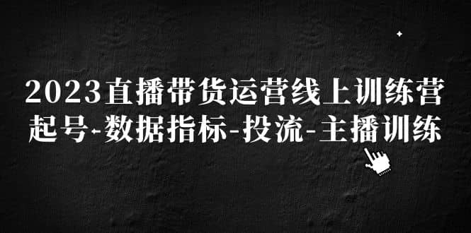 2023直播带货运营线上训练营，起号-数据指标-投流-主播训练-爱省资源网