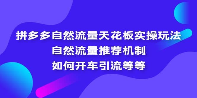拼多多自然流量天花板实操玩法：自然流量推荐机制，如何开车引流等等-爱省资源网