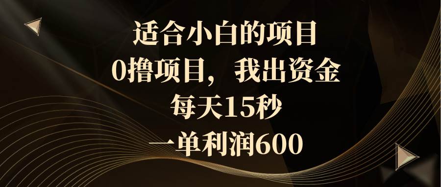 适合小白的项目，0撸项目，我出资金，每天15秒，一单利润600-爱省资源网