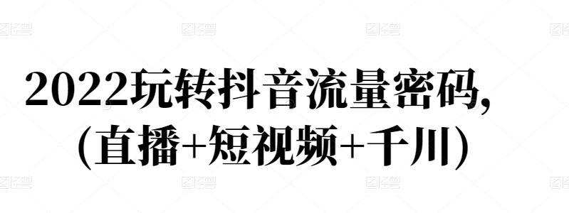 2022玩转抖音流量密码，(直播+短视频+千川)-爱省资源网