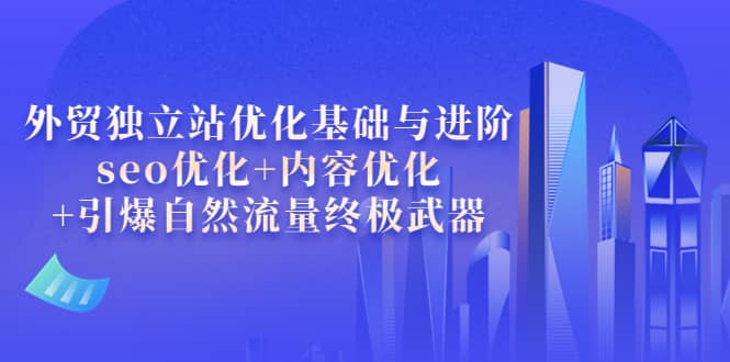 外贸独立站优化基础与进阶，seo优化+内容优化+引爆自然流量终极武器-爱省资源网