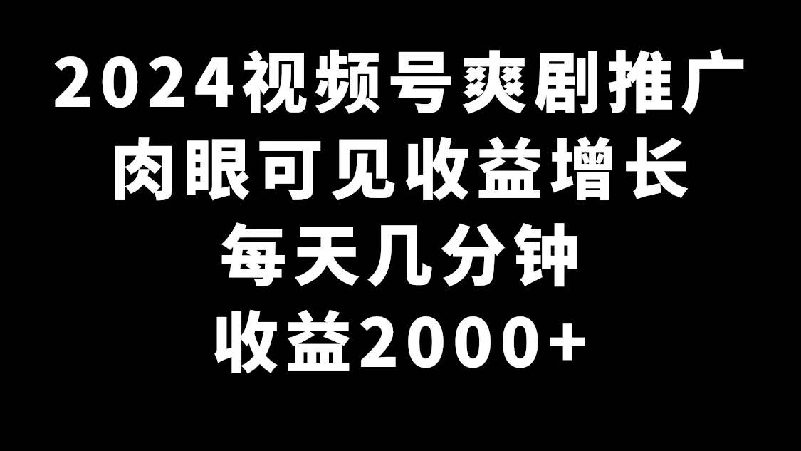 2024视频号爽剧推广，肉眼可见的收益增长，每天几分钟收益2000+-爱省资源网