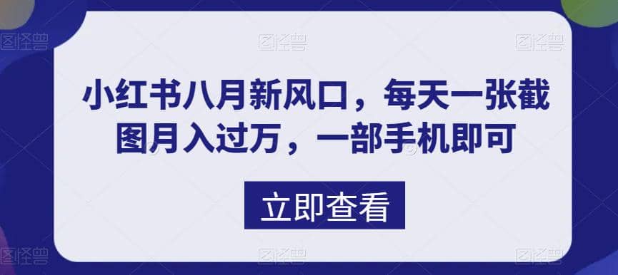 八月新风口，小红书虚拟项目一天收入1000+，实战揭秘-爱省资源网