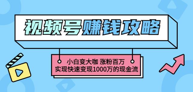 玩转微信视频号赚钱：小白变大咖涨粉百万实现快速变现1000万的现金流-爱省资源网