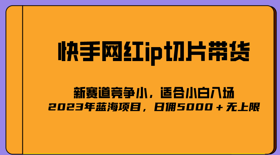 2023爆火的快手网红IP切片，号称日佣5000＋的蓝海项目，二驴的独家授权-爱省资源网