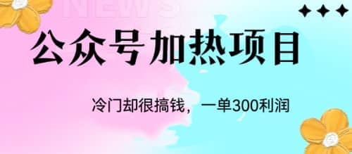 冷门公众号加热项目，一单利润300+-爱省资源网