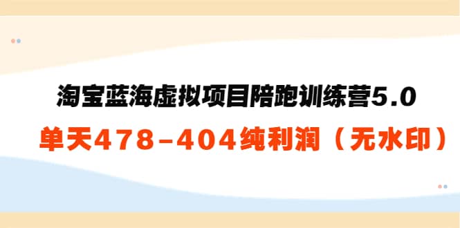 淘宝蓝海虚拟项目陪跑训练营5.0：单天478纯利润（无水印）-爱省资源网