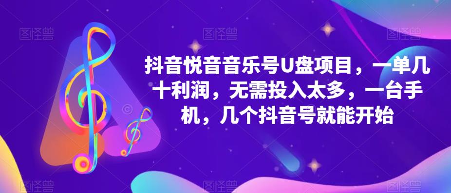 抖音音乐号U盘项目 一单几十利润 无需投入太多 一台手机 几个抖音号就开始-爱省资源网