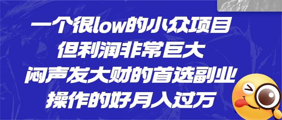 一个很low的小众项目，但利润非常巨大，闷声发大财的首选副业，月入过万-爱省资源网