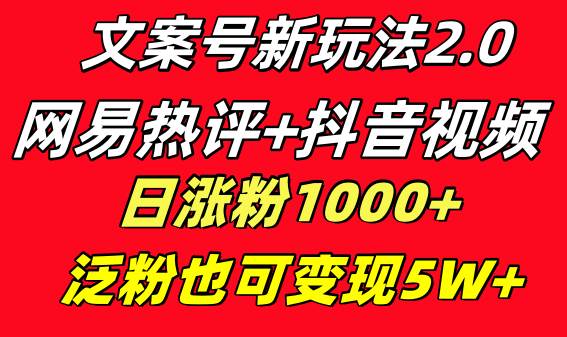 文案号新玩法 网易热评+抖音文案 一天涨粉1000+ 多种变现模式 泛粉也可变现-爱省资源网