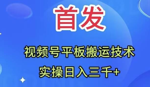 全网首发：视频号平板搬运技术，实操日入三千＋-爱省资源网