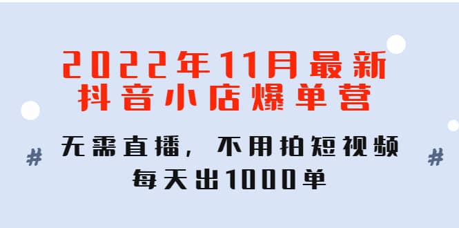 2022年11月最新抖音小店爆单训练营：无需直播，不用拍短视频，每天出1000单-爱省资源网