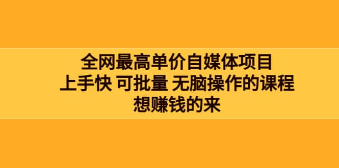 全网最单高价自媒体项目：上手快 可批量 无脑操作的课程，想赚钱的来-爱省资源网
