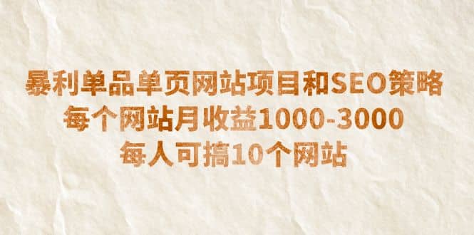 暴利单品单页网站项目和SEO策略 每个网站月收益1000-3000 每人可搞10个-爱省资源网