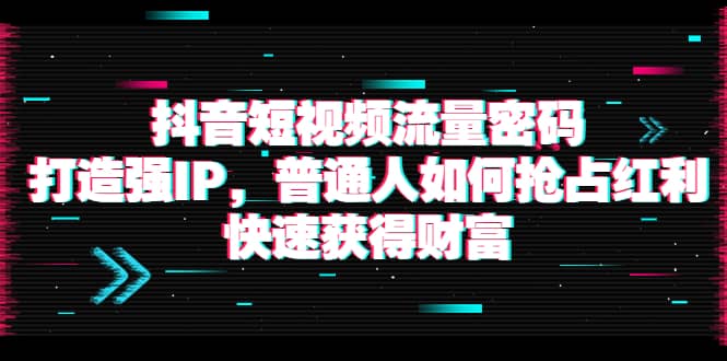 抖音短视频流量密码：打造强IP，普通人如何抢占红利，快速获得财富-爱省资源网