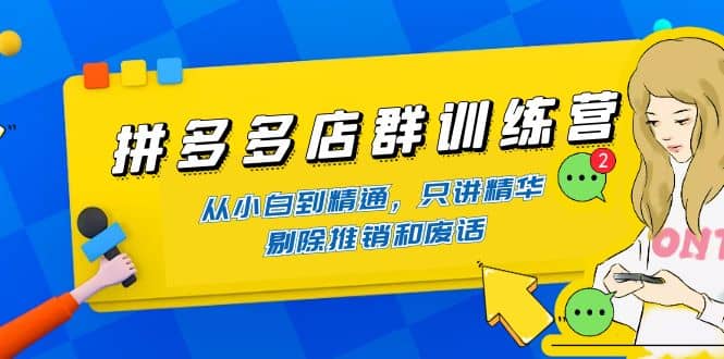 拼多多店群训练营：从小白到精通，只讲精华，剔除推销和废话-爱省资源网