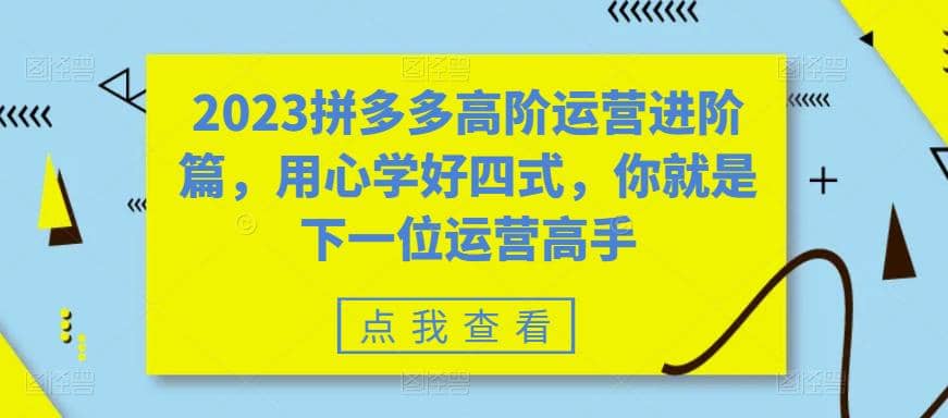 2023拼多多高阶运营进阶篇，用心学好四式，你就是下一位运营高手-爱省资源网
