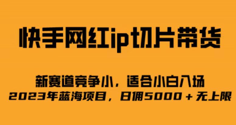 快手网红ip切片新赛道，竞争小事，适合小白 2023蓝海项目-爱省资源网