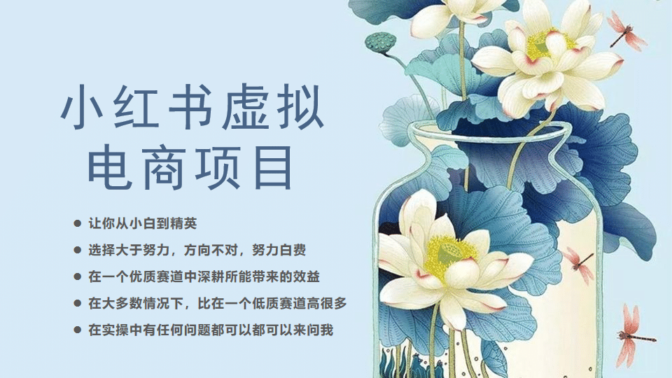 小红书虚拟电商从0到1，让你从小白到精英（20节实操课程）-爱省资源网