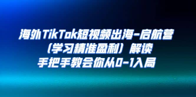 海外TikTok短视频出海-启航营（学习精准盈利）解读，手把手教会你从0-1入局-爱省资源网