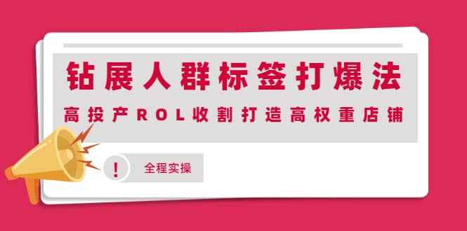 钻展人群标签打爆法，高投产ROL收割打造高权重店铺(全程实操)-爱省资源网